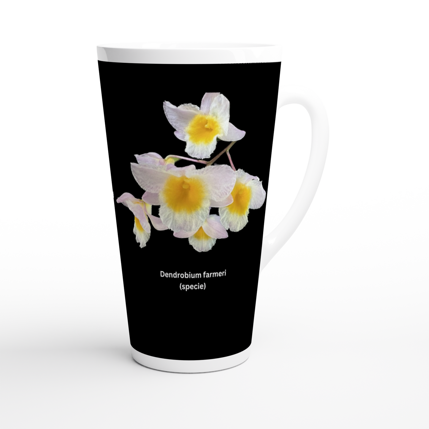 Dendrobium farmeri Orchid Latte Mug
