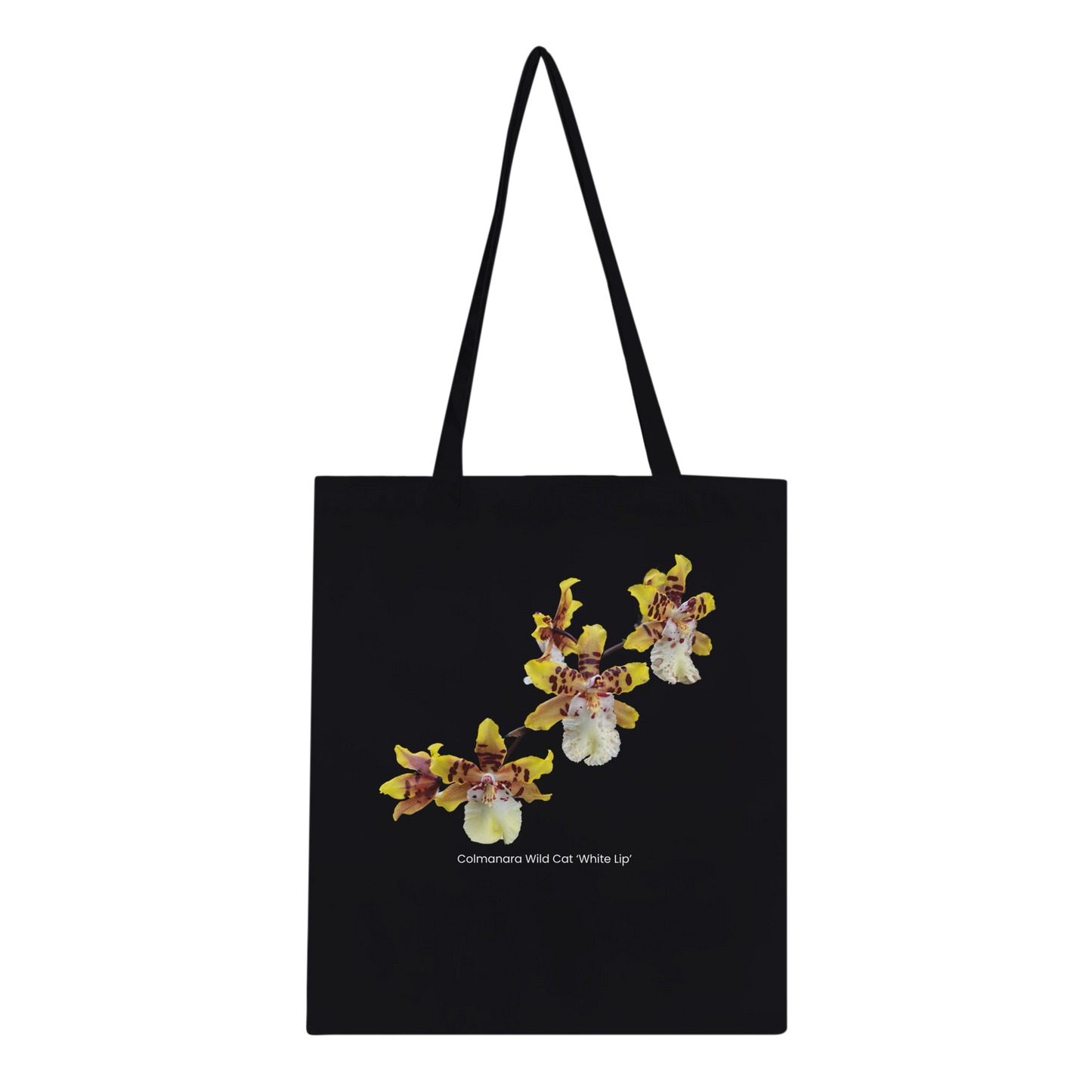 b4a3a6a7-6819-4708-bb82-ccd51a70da54