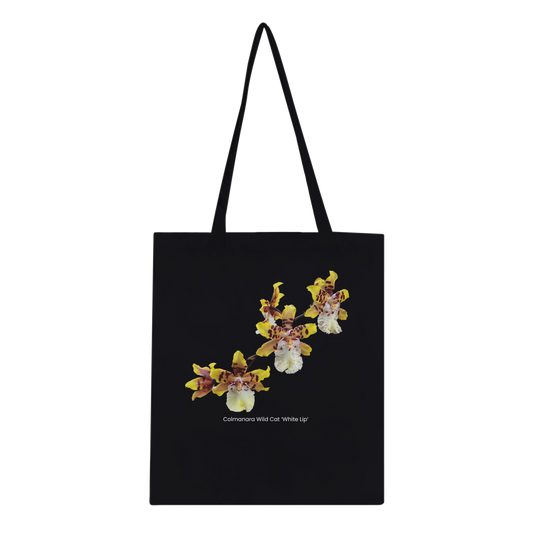 b4a3a6a7-6819-4708-bb82-ccd51a70da54