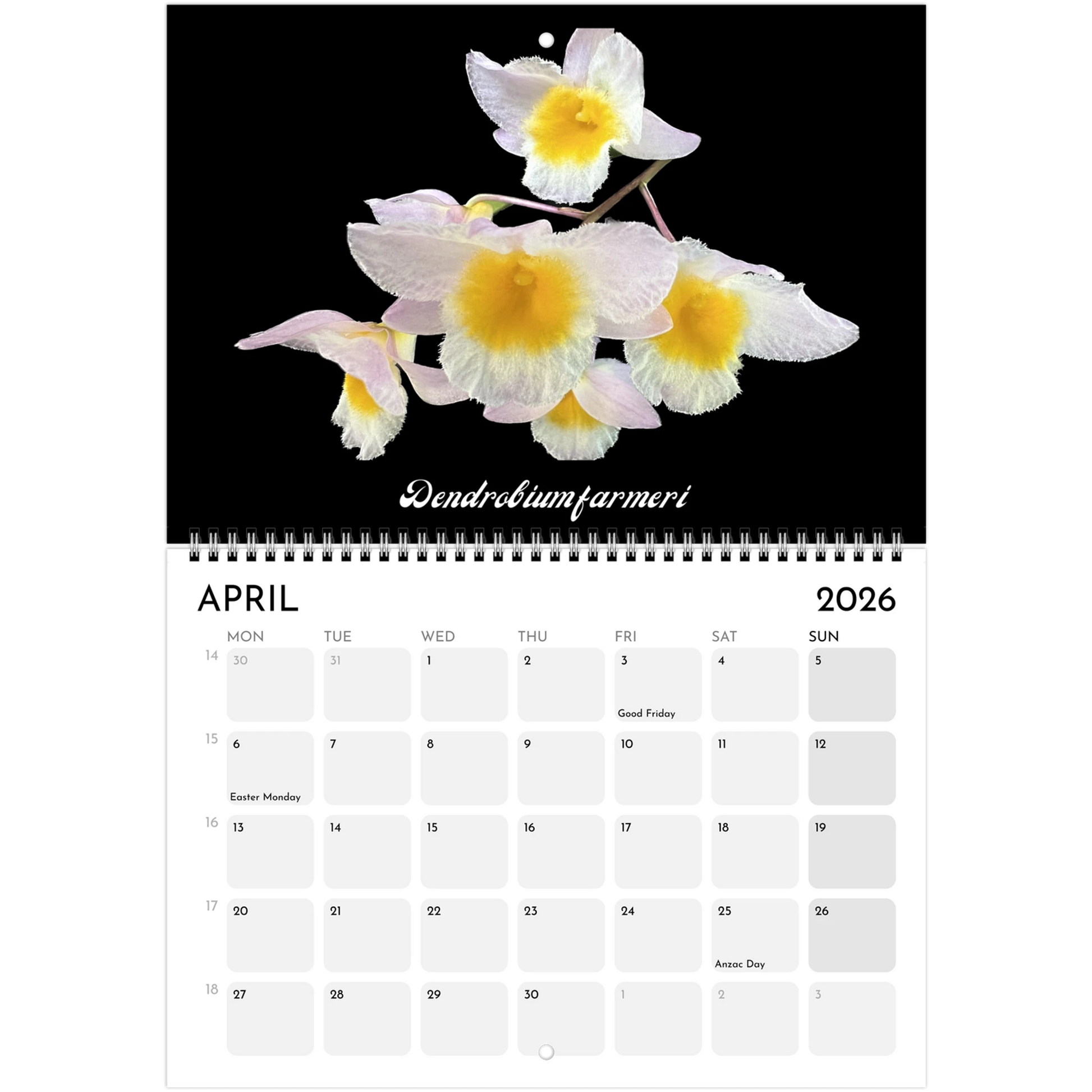 Species Orchids  2026 Calendar