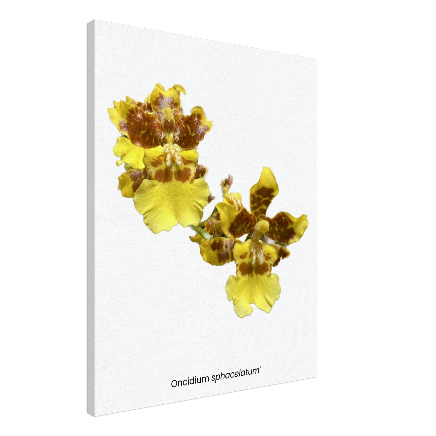 b9f45a61-3bab-4540-b65b-06f13f68990c