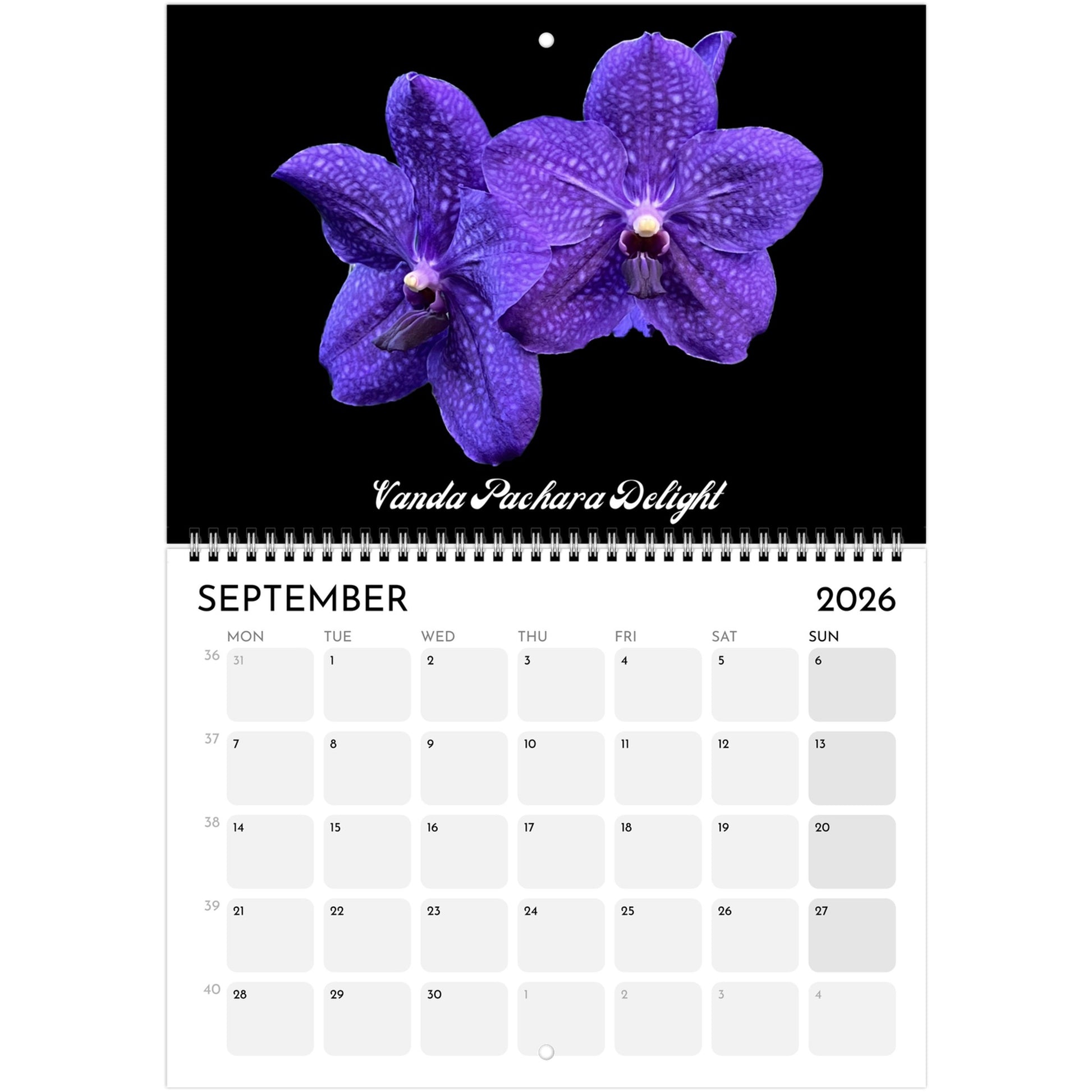 Loving Orchids  2026 Calendar