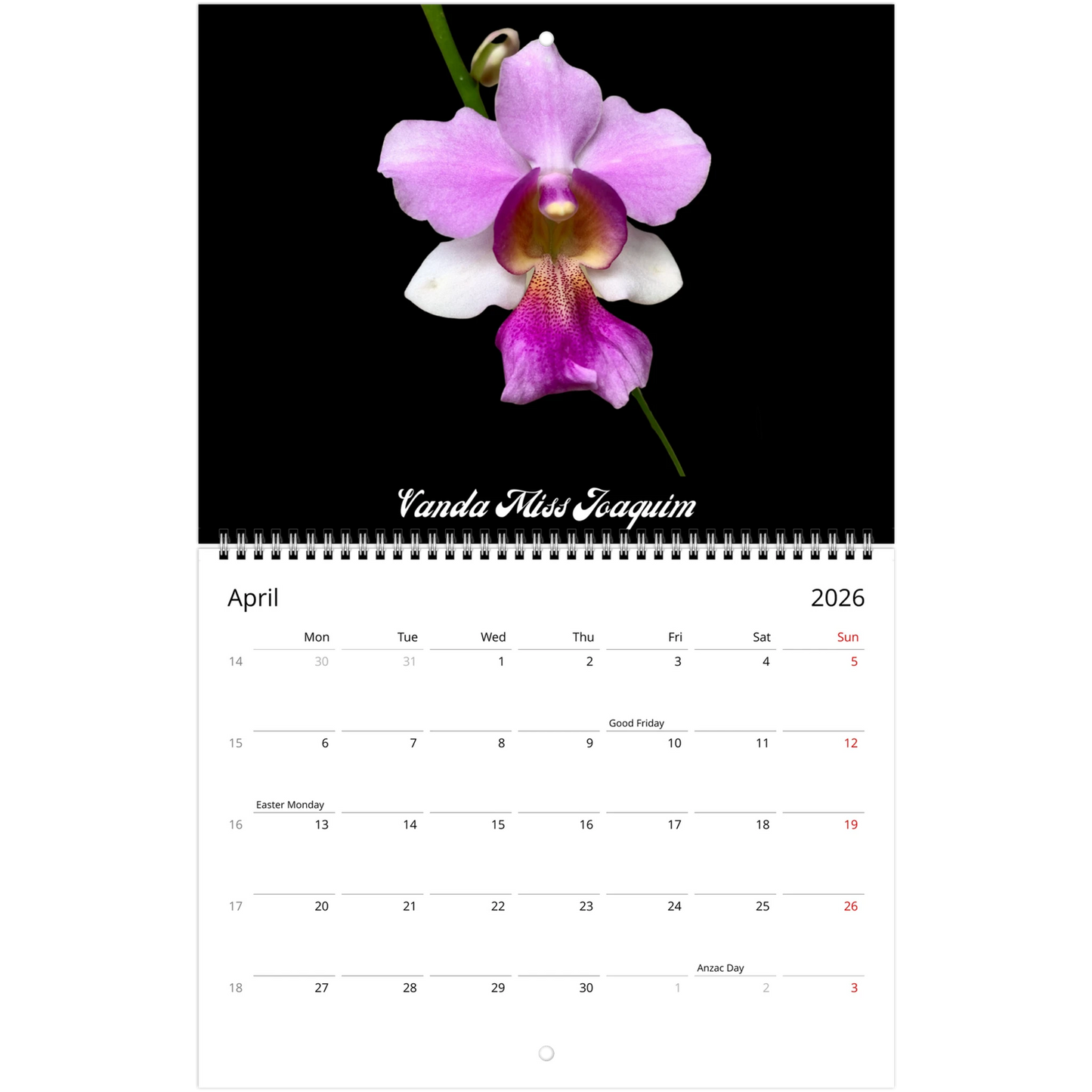 Loving Orchids 2026 Calendar (US & CA)