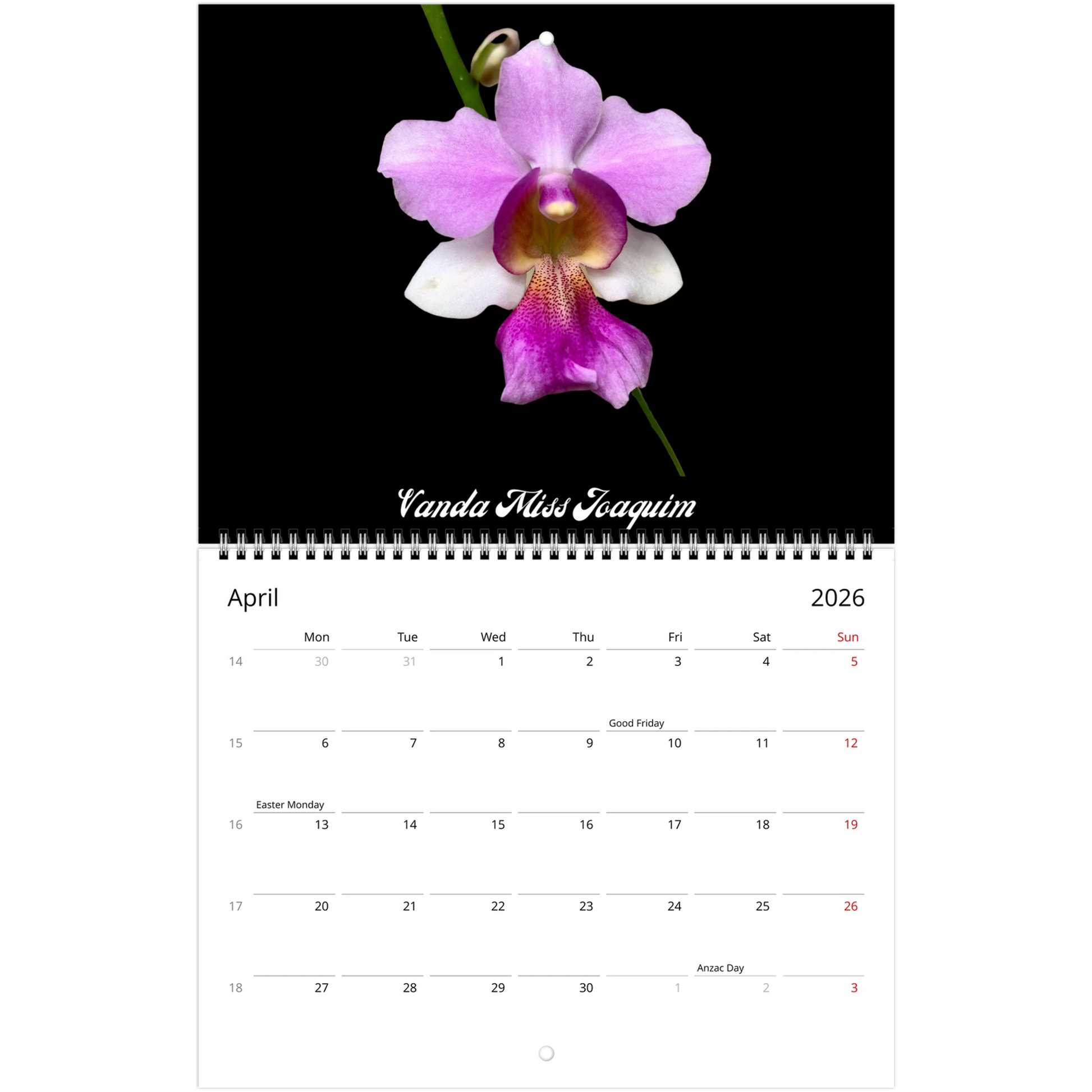 Loving Orchids 2026 Calendar (US & CA)