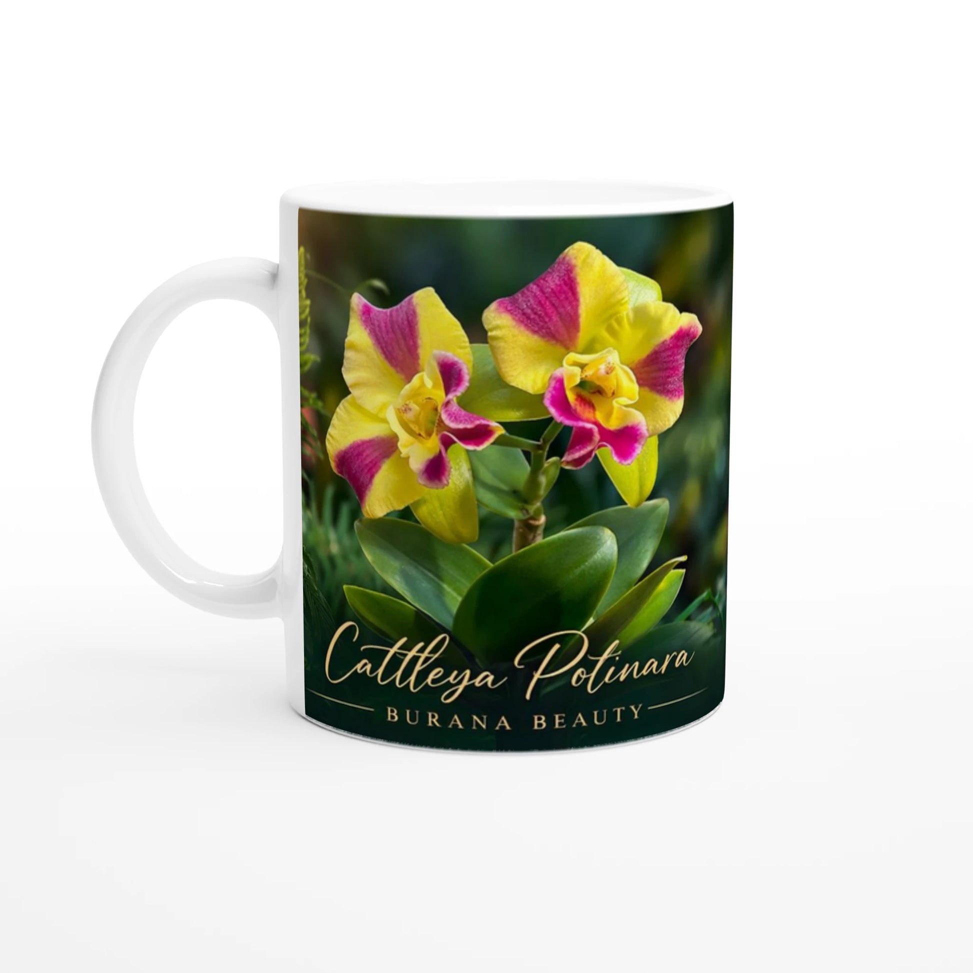 Cattleya Potinara Burana Beauty Orchid Coffee Mug