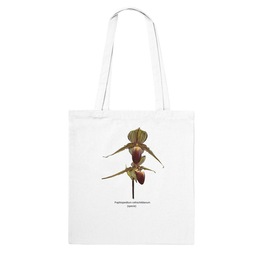 Paphiopedilum rothschildianum Orchid Tote Bag