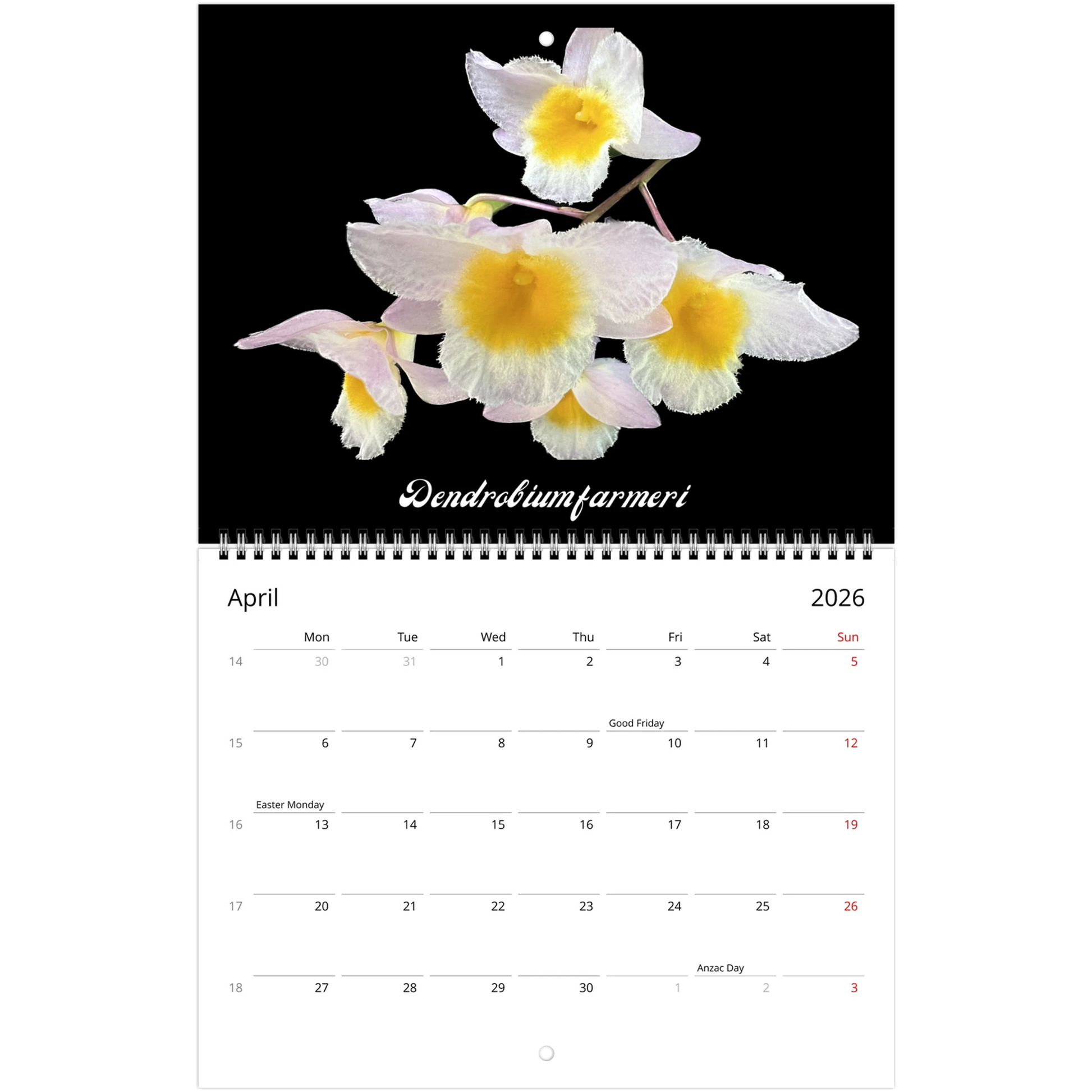Species Orchids 2026 Wall Calendar (US & CA)