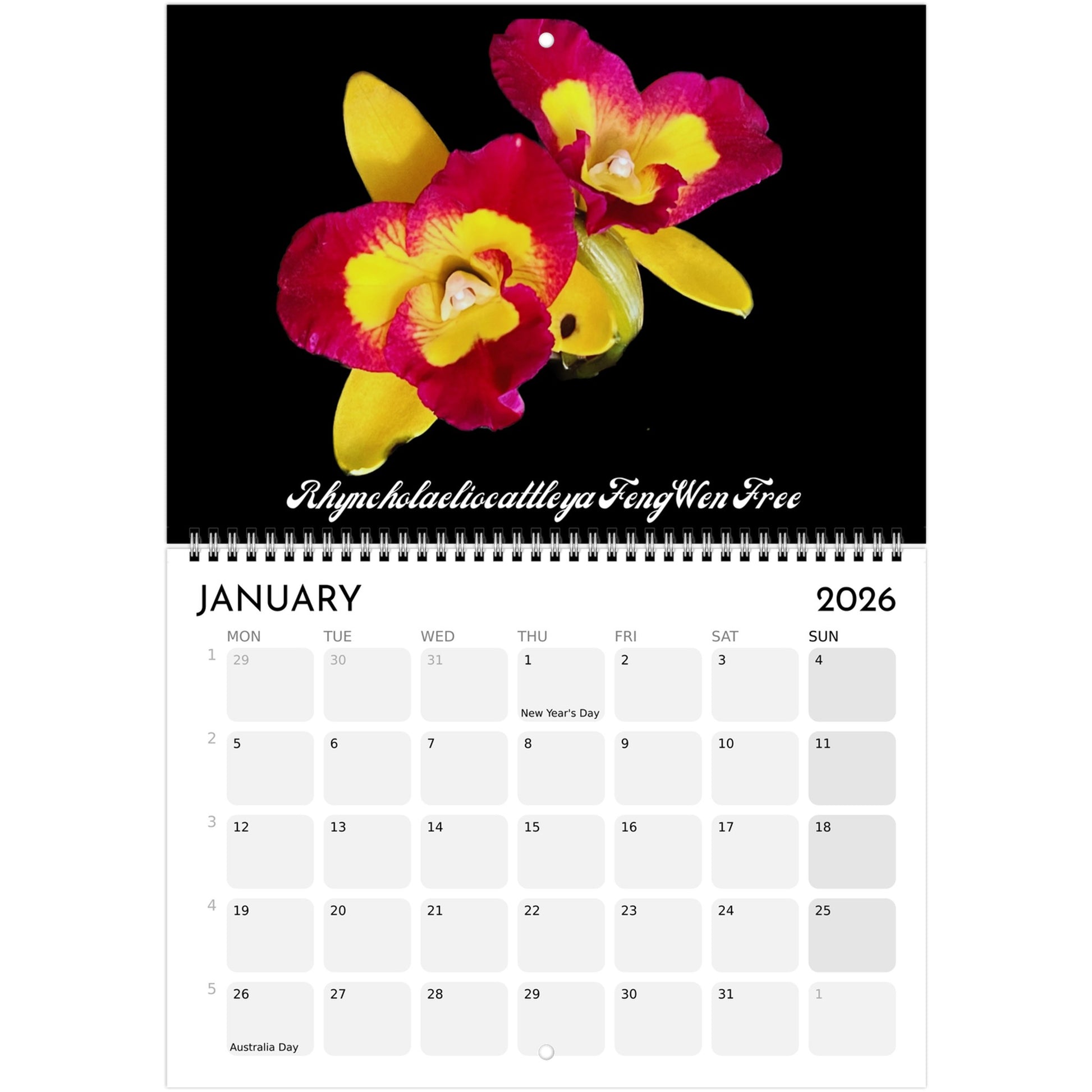 Loving Orchids  2026 Calendar