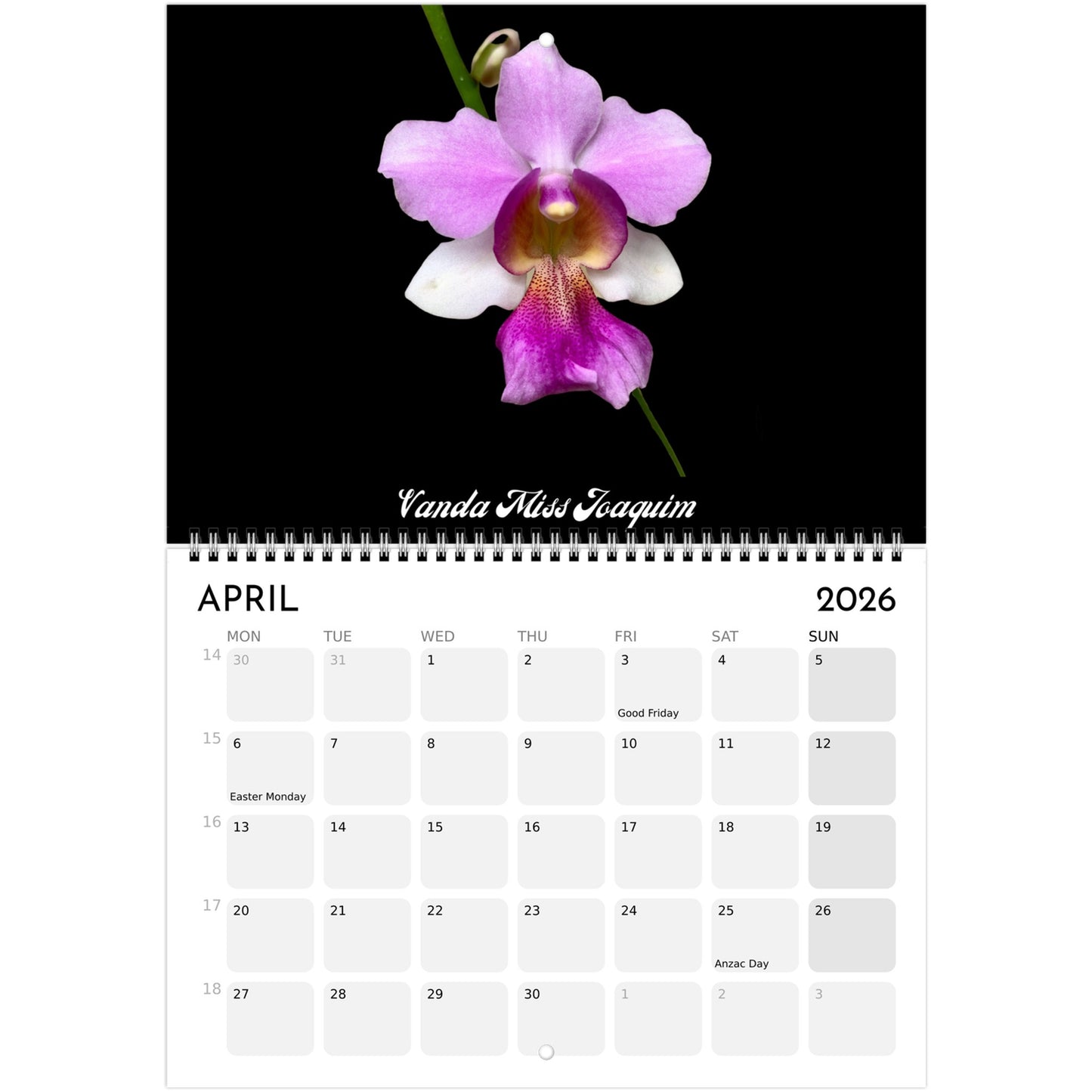 Loving Orchids  2026 Calendar