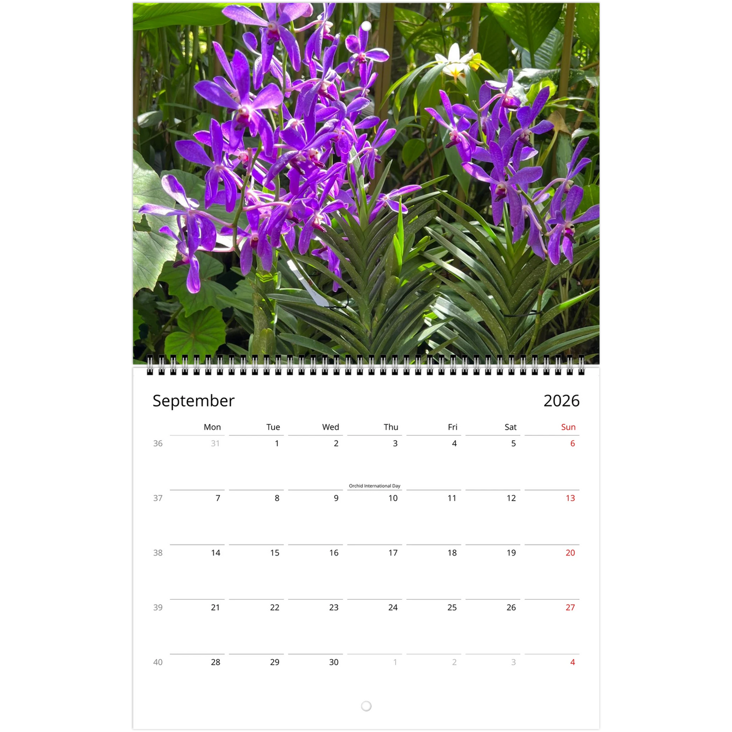 Singapore Nation Orchid Garden 2026 Calendar  (US & CA)