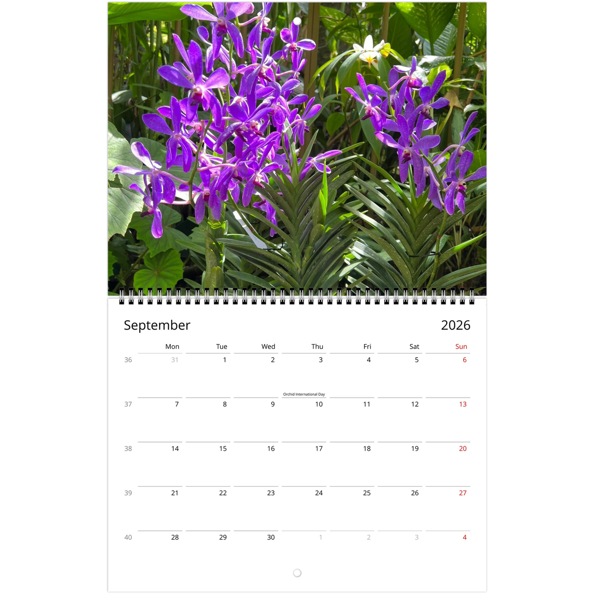 Singapore Nation Orchid Garden 2026 Calendar  (US & CA)
