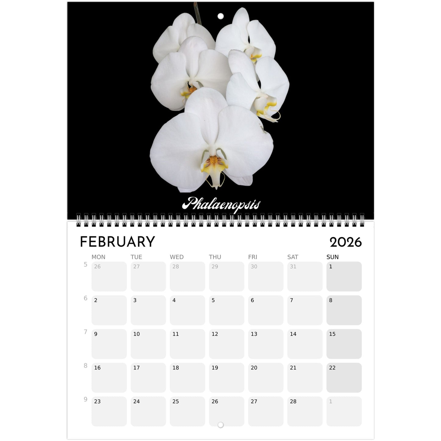 Loving Orchids  2026 Calendar