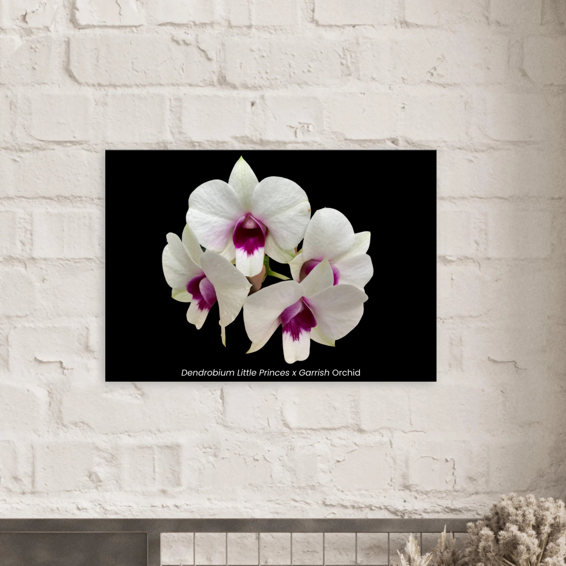 d9b1d759-2c66-4fb5-8b80-1cd8e44e1804