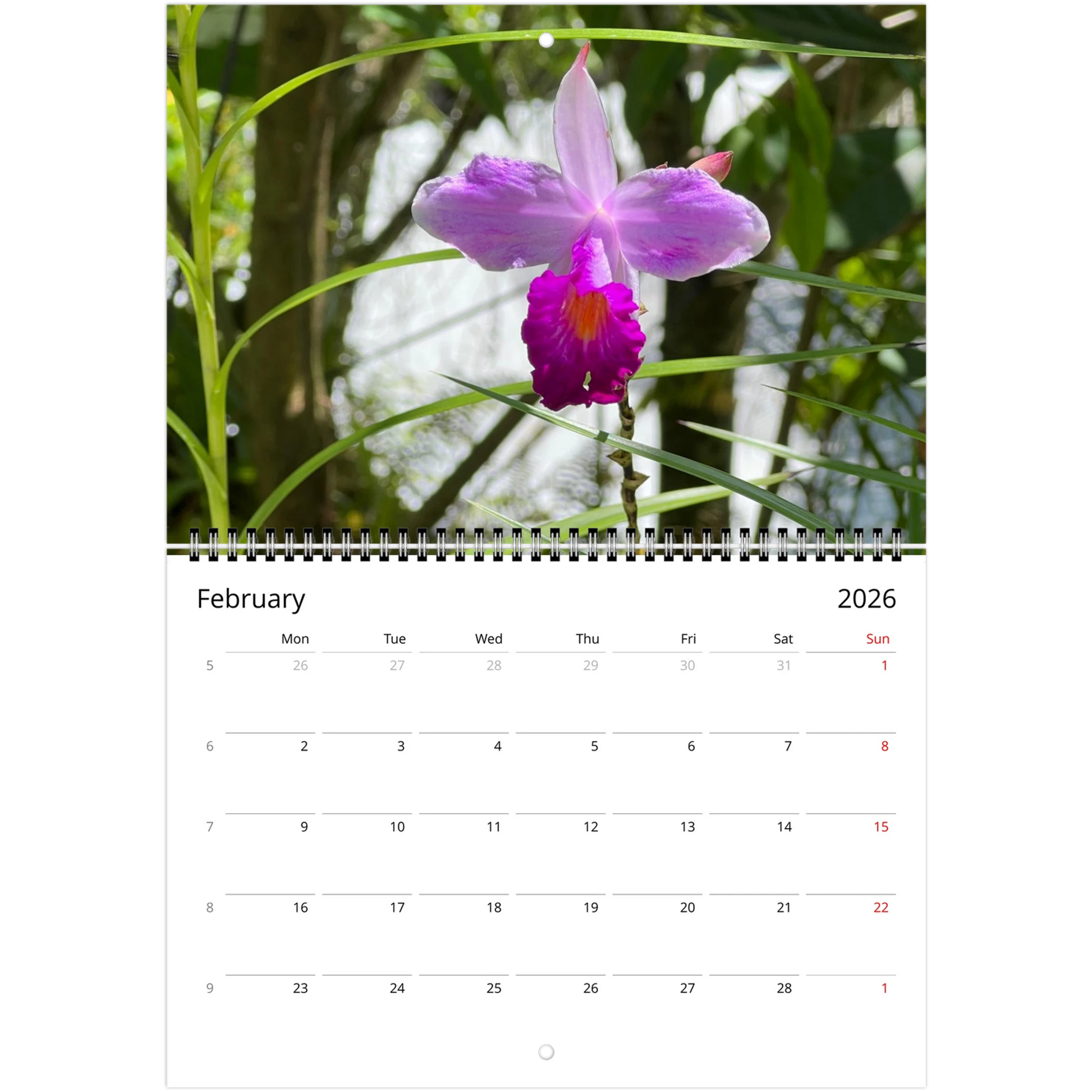 Singapore National Orchid Garden 2026 Calendar