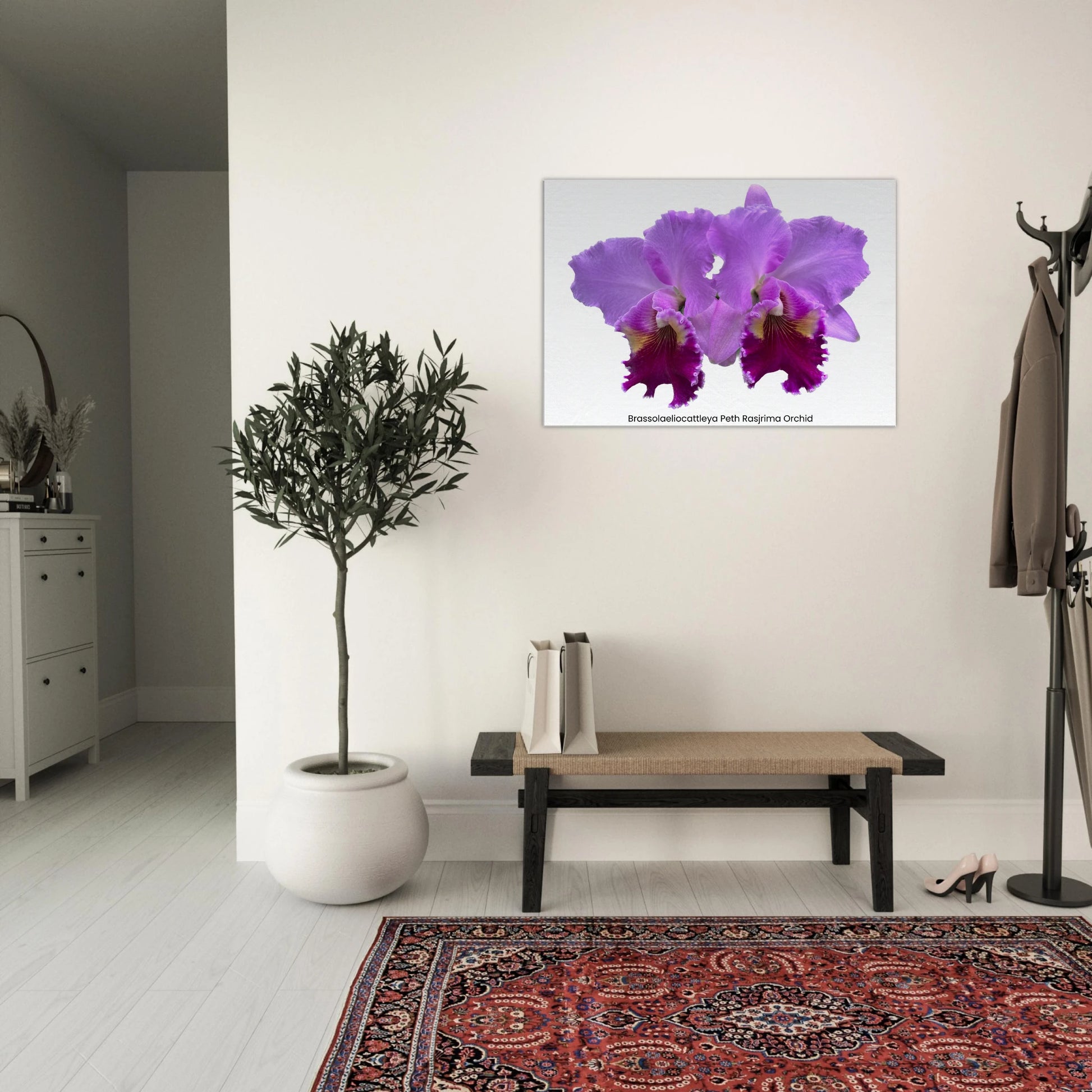 Brassolaeliocattleya Peth Rasjrima Orchid Canvas Print