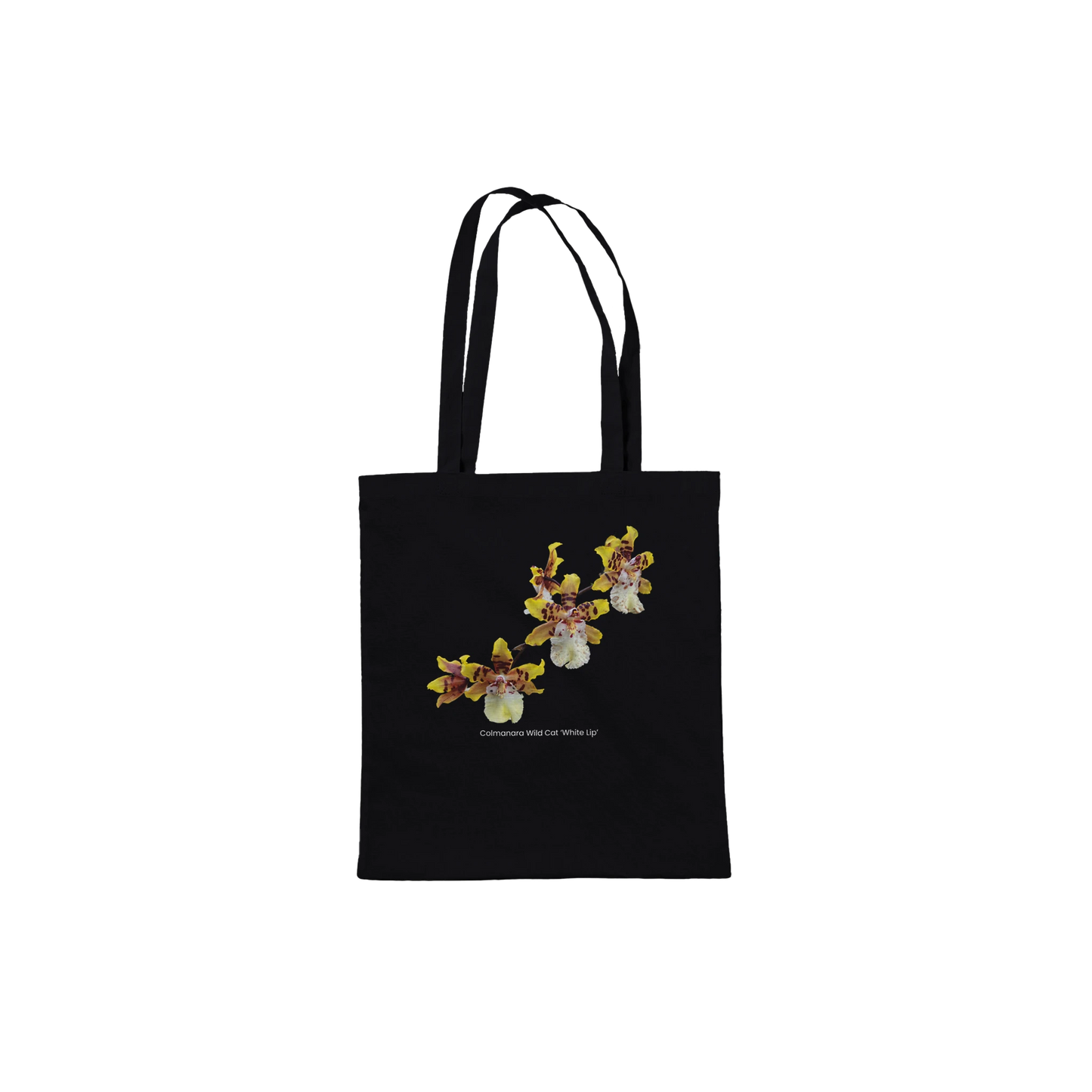 df3d2820-e8c9-4b94-97db-a1b4cb5ea223