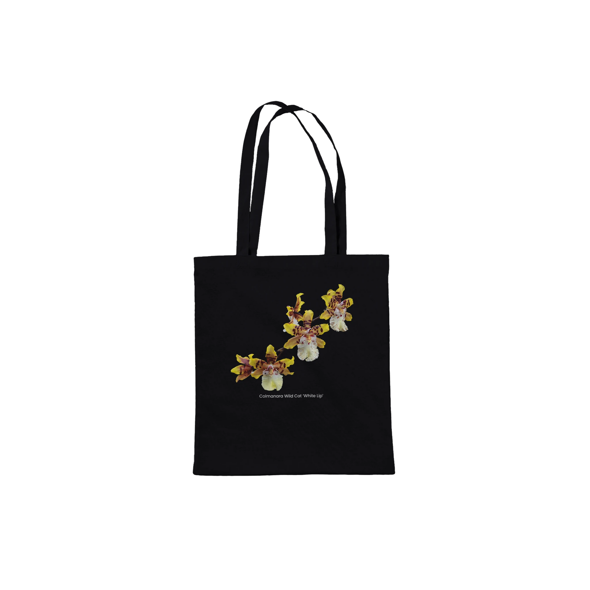 df3d2820-e8c9-4b94-97db-a1b4cb5ea223