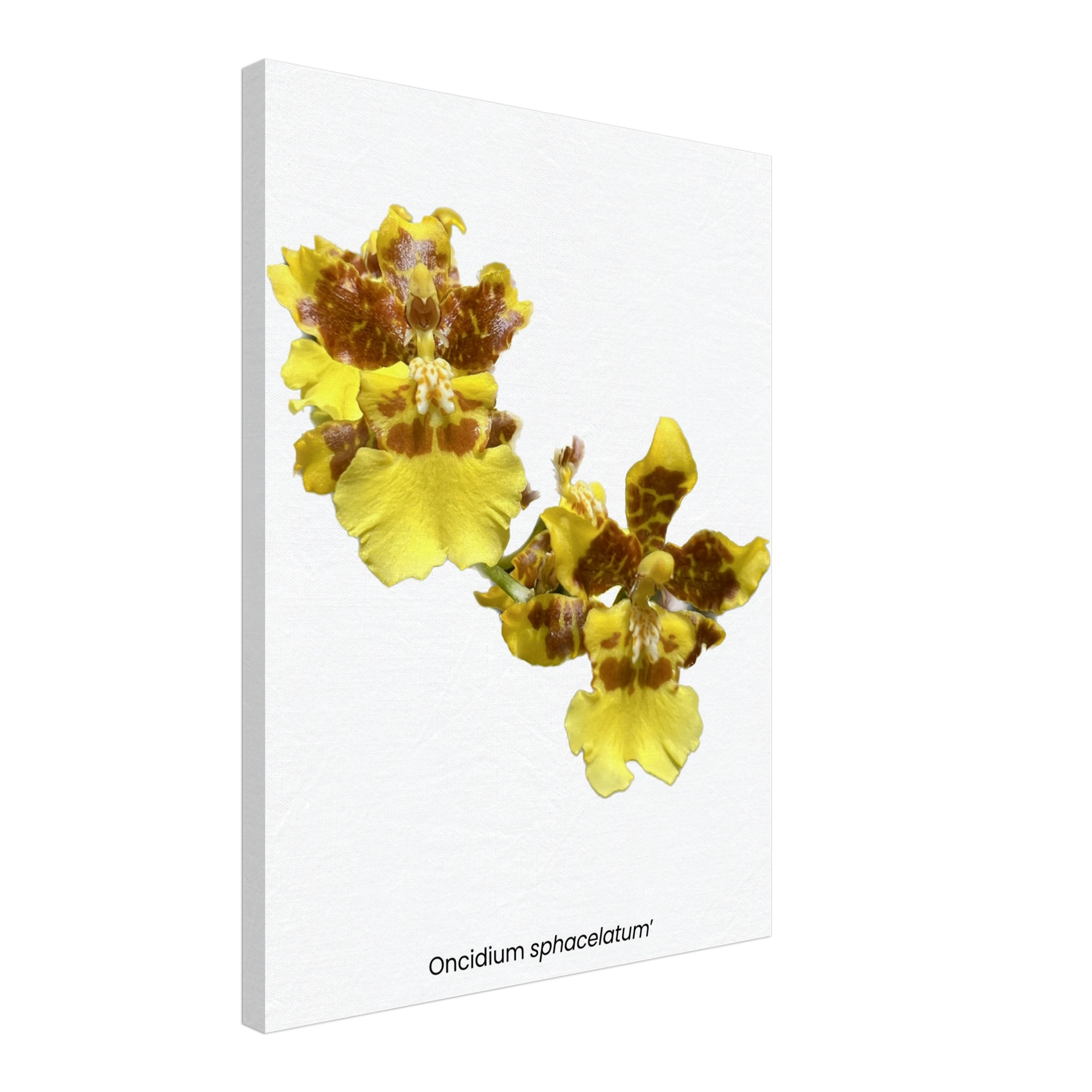 e4bc438f-1cd2-43a3-ac5e-28bd28c00d45