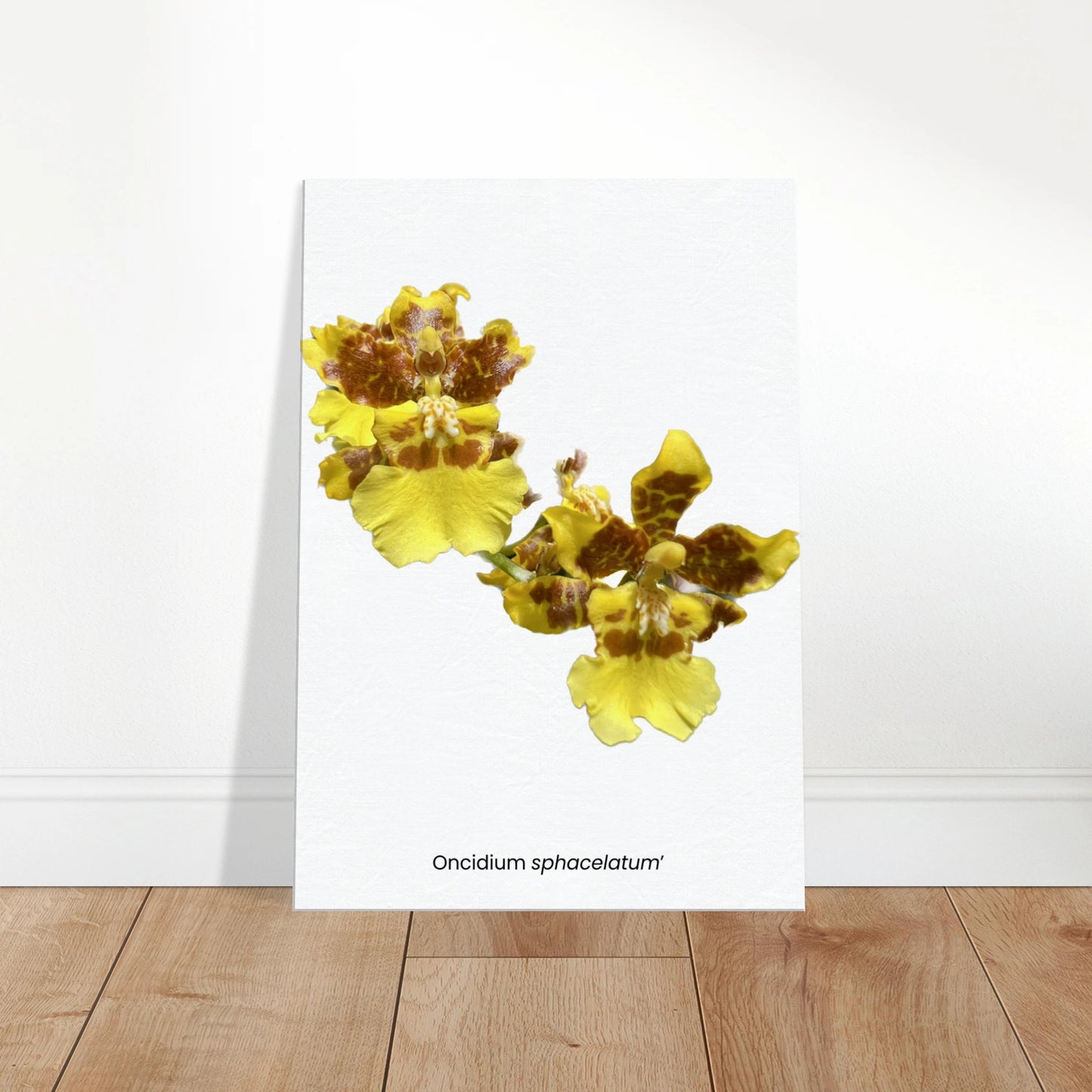 e52b252f-4c8b-43fb-9cc1-819a88926574