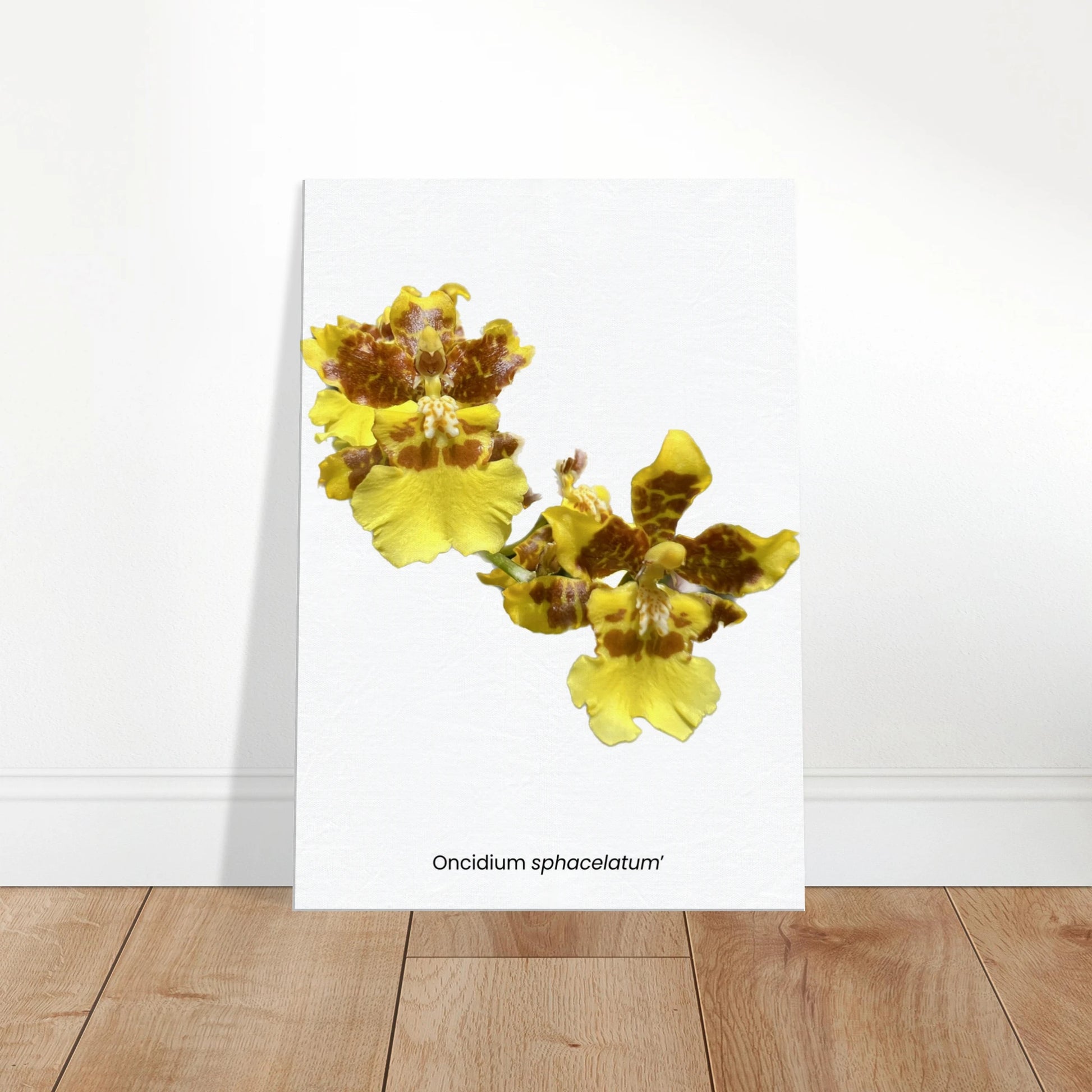 e52b252f-4c8b-43fb-9cc1-819a88926574