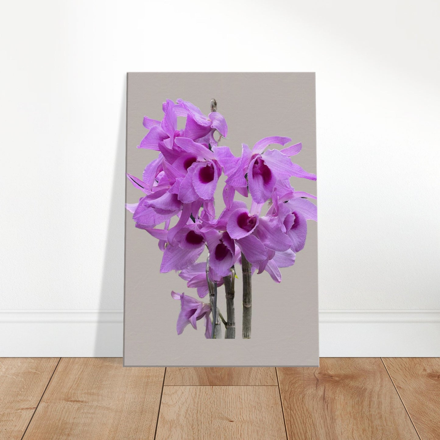 Dendrobium anosmum superbum 'Blue Lip' Orchid Greig Canvas Print