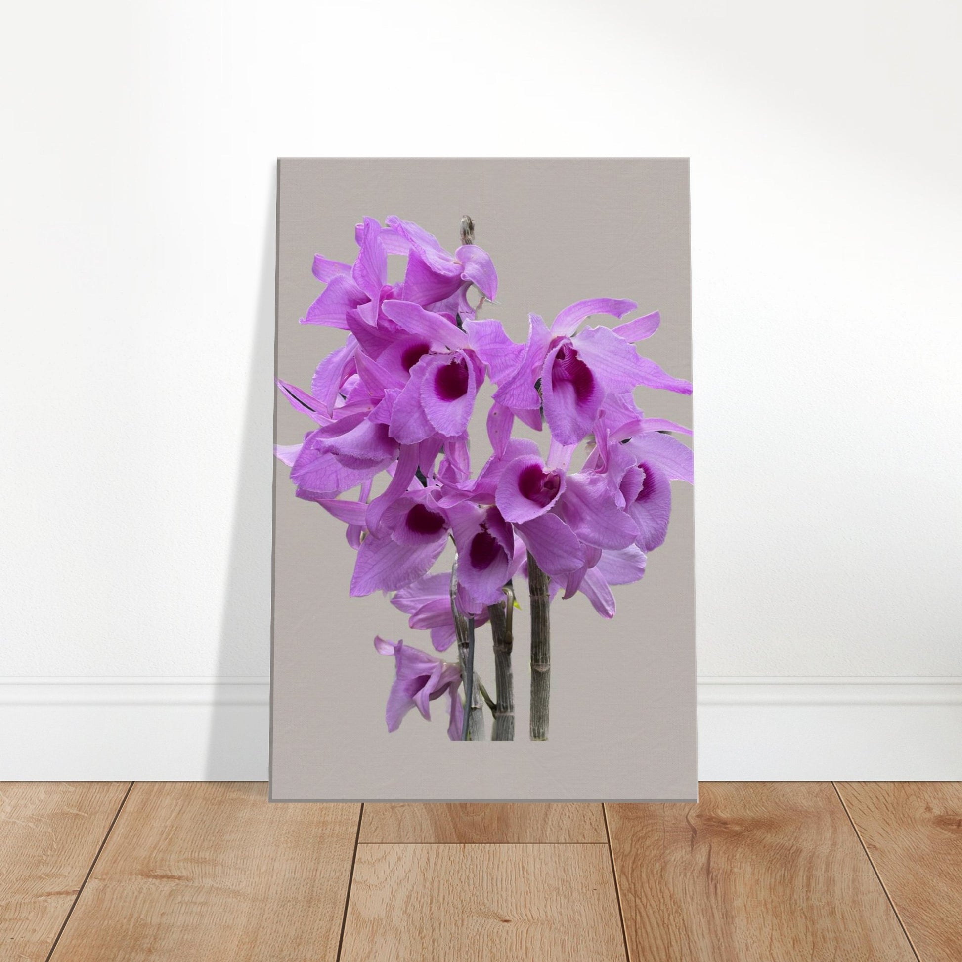 Dendrobium anosmum superbum 'Blue Lip' Orchid Greig Canvas Print