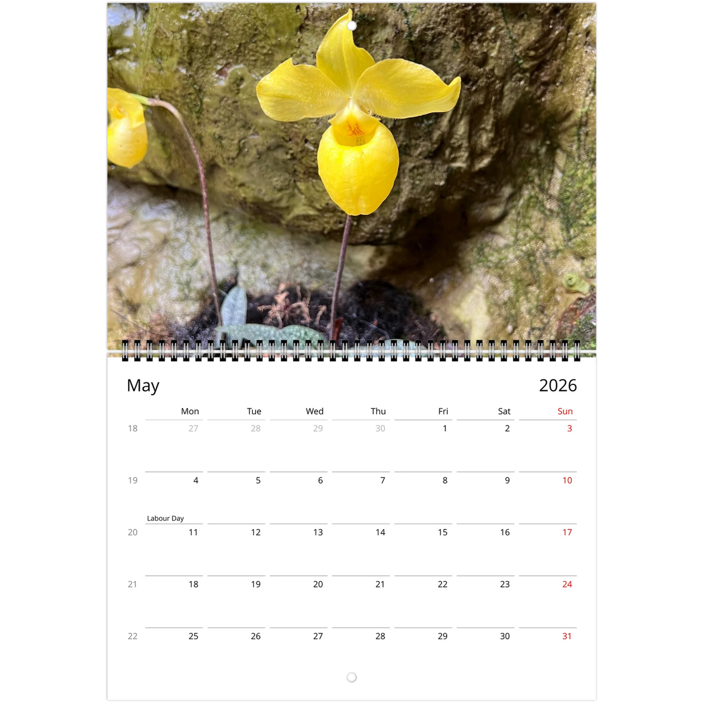 Singapore National Orchid Garden 2026 Calendar