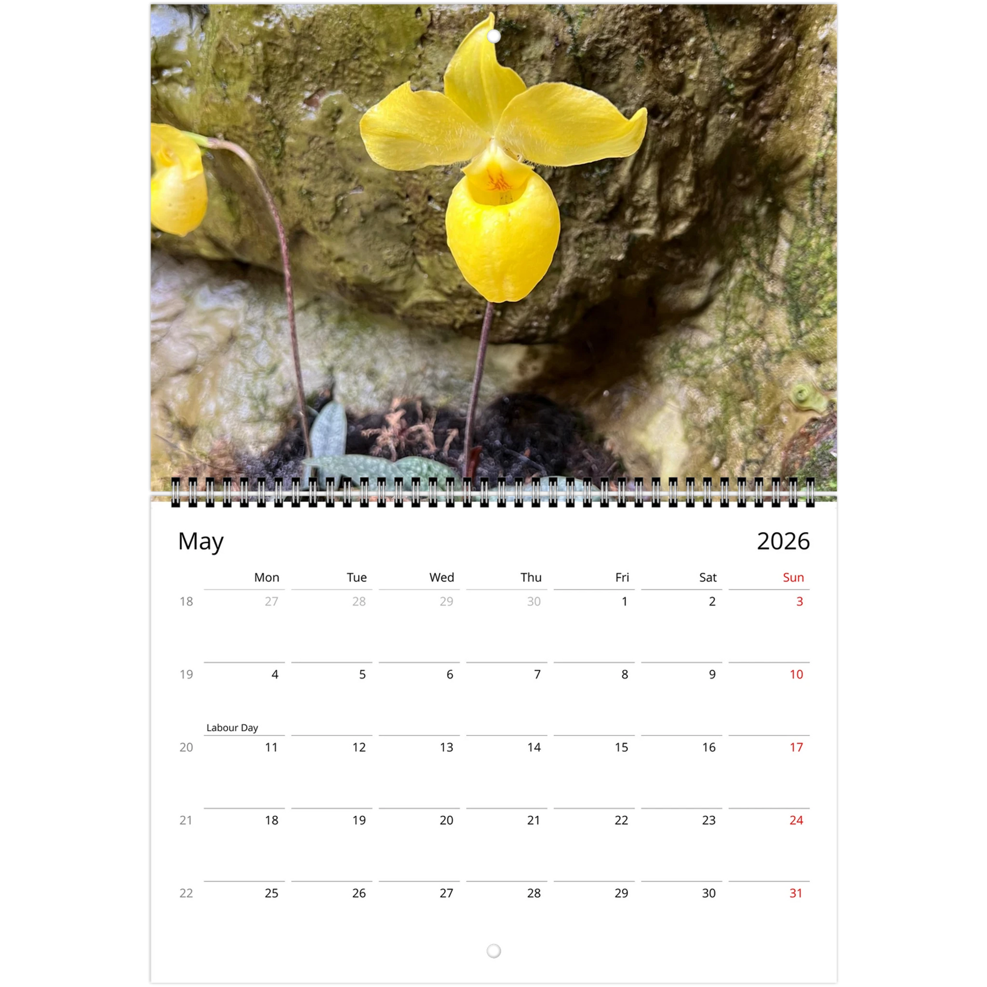 Singapore National Orchid Garden 2026 Calendar