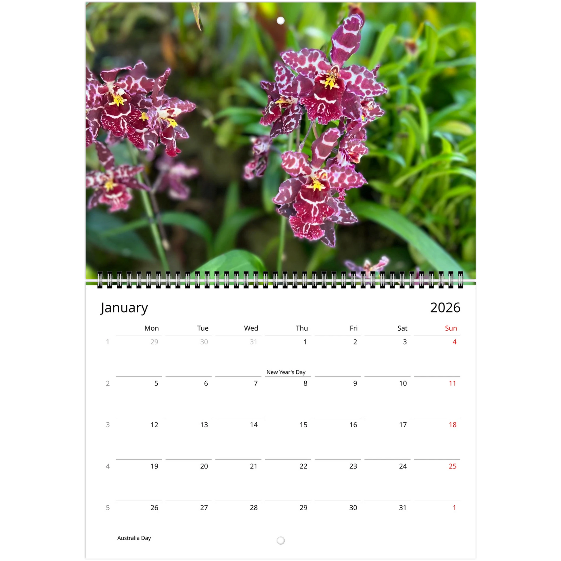 Singapore National Orchid Garden 2026 Calendar