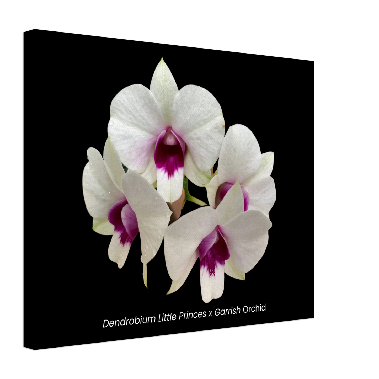 f08d814a-e908-4c4f-81e0-6e2375f6e2e4