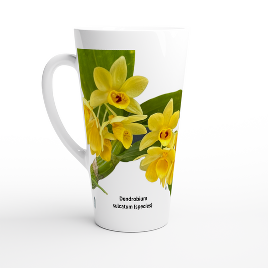 Dendrobium Sulcatum Orchid Latte Mug