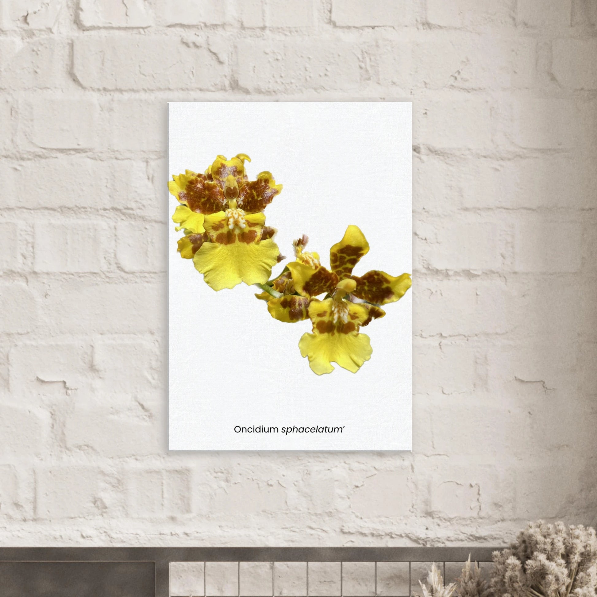 f3328c18-8809-45e0-973b-c6154a1f02e6