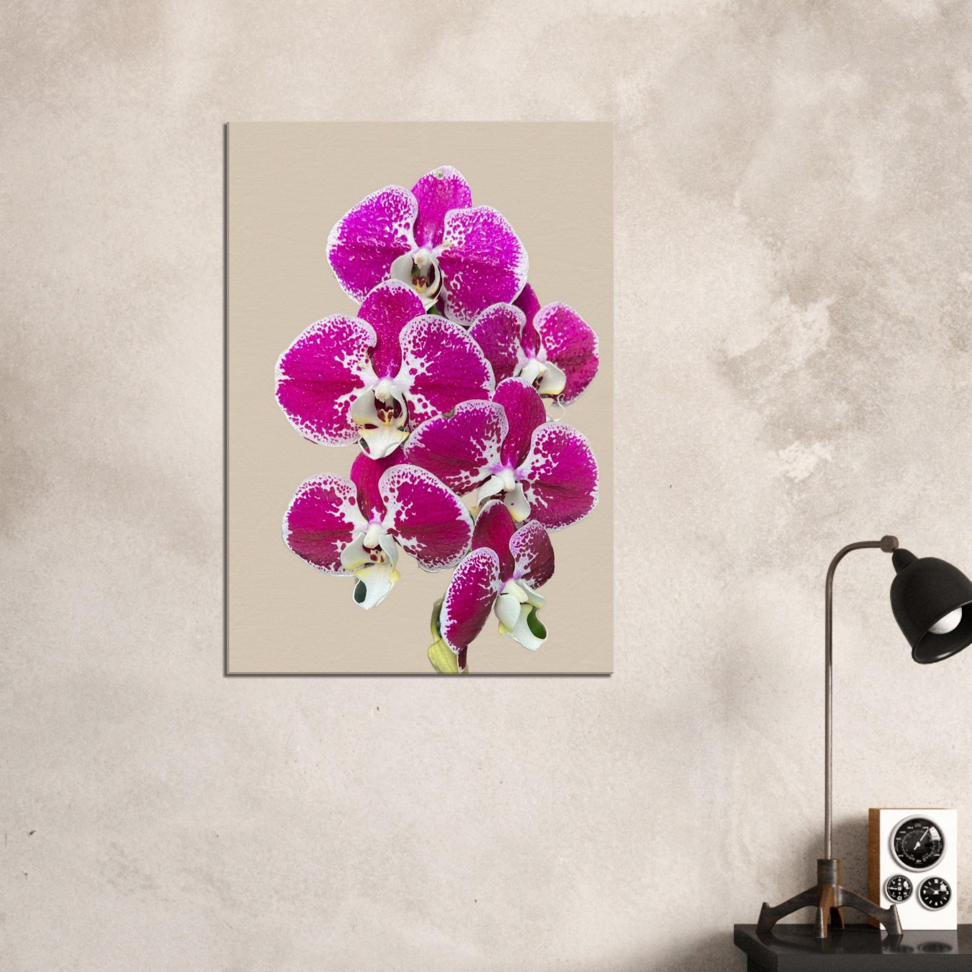 Pink & White Phalaenopsis Sand Orchid Canvas Print