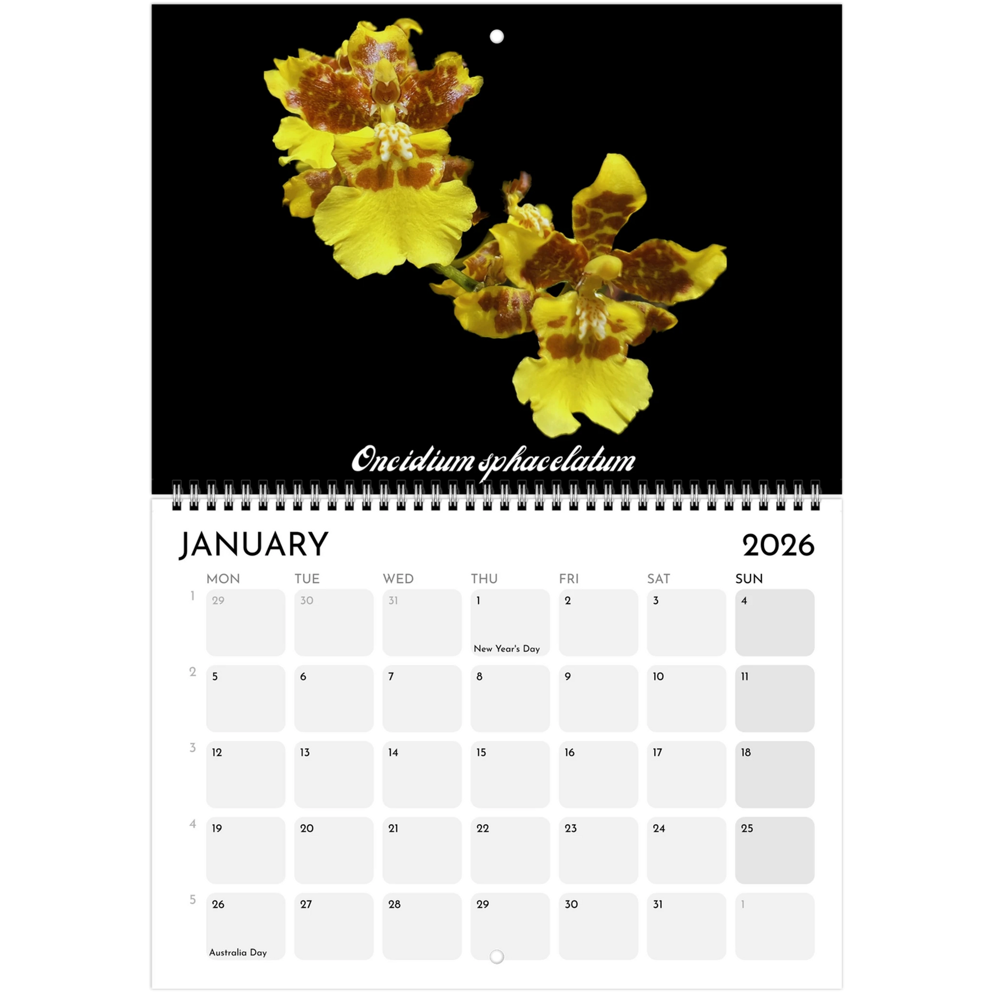 Species Orchids  2026 Calendar