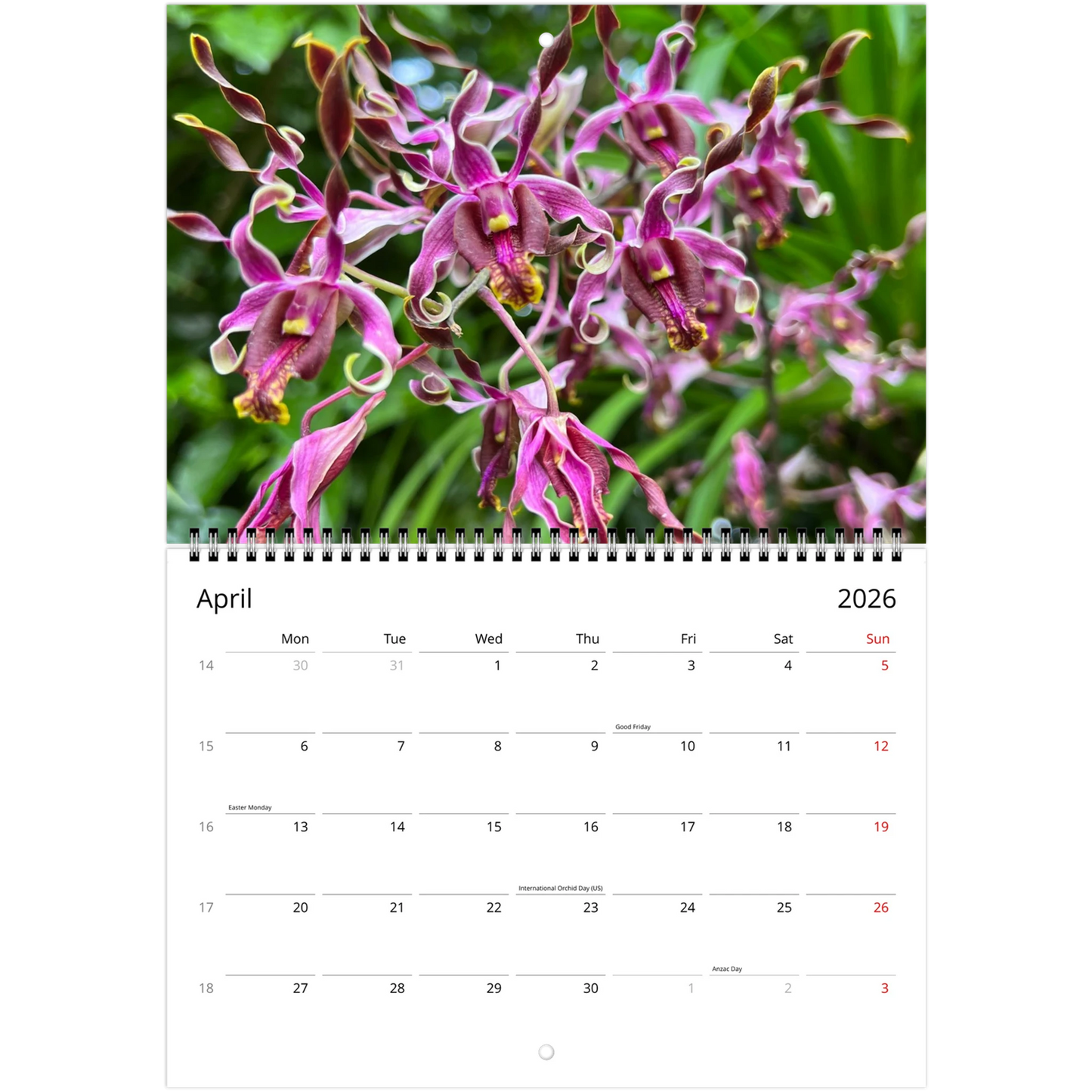 Singapore National Orchid Garden 2026 Calendar