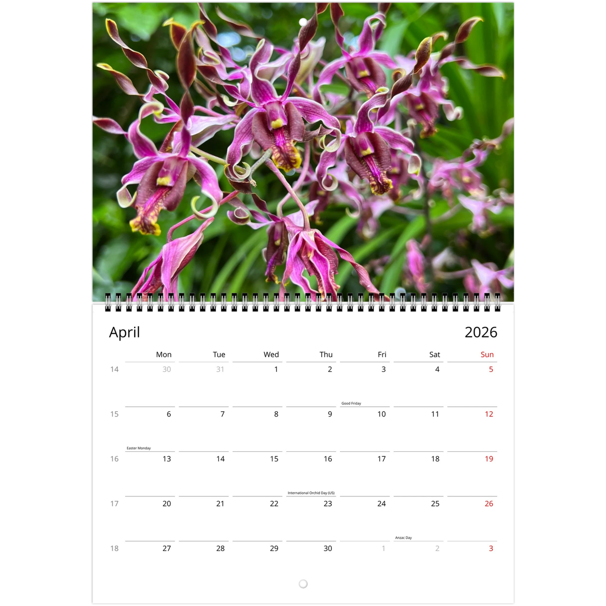 Singapore National Orchid Garden 2026 Calendar