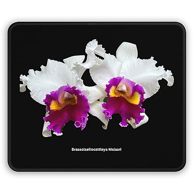 Brassolaeliocattleya Malassi Orchid Mouse Pad