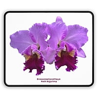 Brassolaeliocattleya Peth Rasjrima Orchid Mouse Pad