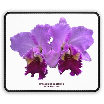 Brassolaeliocattleya Peth Rasjrima Orchid Mouse Pad