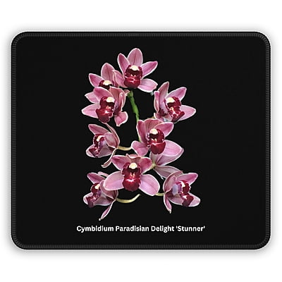 Cymbidium Paradisian Delight 'Stunner' Orchid Mouse Pad