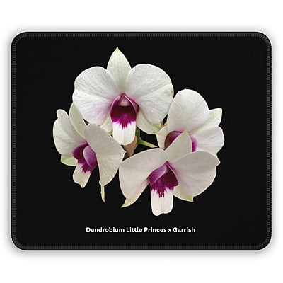 Dendrobium Little Princess x Garrish Orchid Mouse Pad