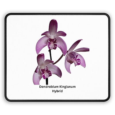 Dendrobium Kingianum Hybrid Orchid Mouse Pad