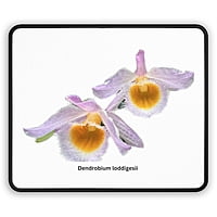 Dendrobium loddigesii Orchid Mouse Pad