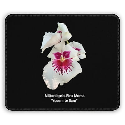 Miltoniopsis Pink Moma "Yosemite Sam" Orchid Mouse Pad