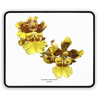 Oncidium sphacelatum Orchid Mouse Pad