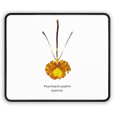Psychopsis papilio Orchid Mouse Pad