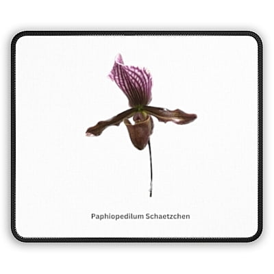 Paphiopedilum Schaetzchen Orchid Mouse Pad