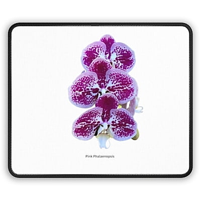 Pink & White Phalaenopsis Orchid Mouse Pad