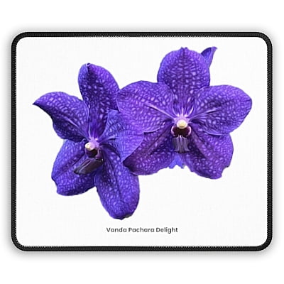 Copy of Vanda Pachara Delight Orchid Mouse Pad