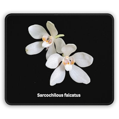 Sarcochilous falcatus Orchid Mouse Pad